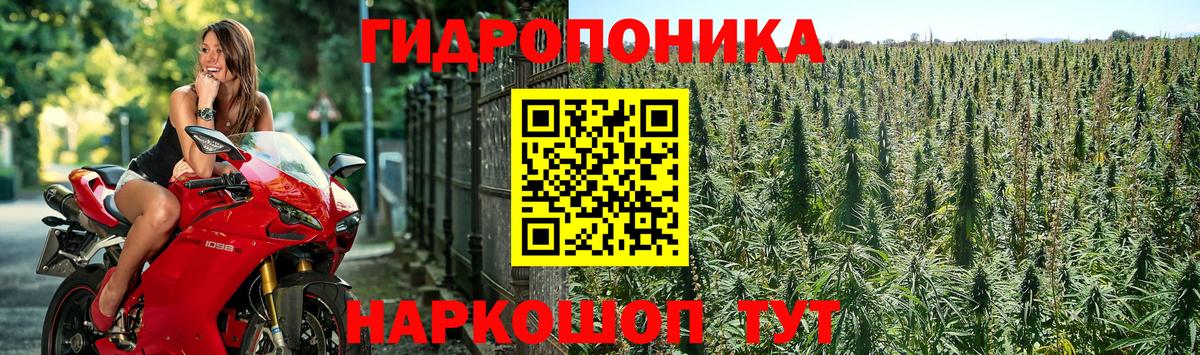 Шишки марихуана семена  Конопля AK-47  Марихуана гибрид  Красногорск  Канабис гибрид  Вход с VPN 